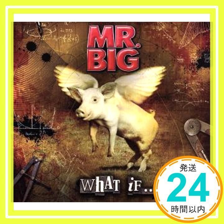 ホワット・イフ・・・(期間限定スペシャル・プライス盤) [CD] MR.BIG、 エリック・マーティン、 ポール・ギルバート、 ビリー・シーン;  パット・トーピー_02 - メルカリ