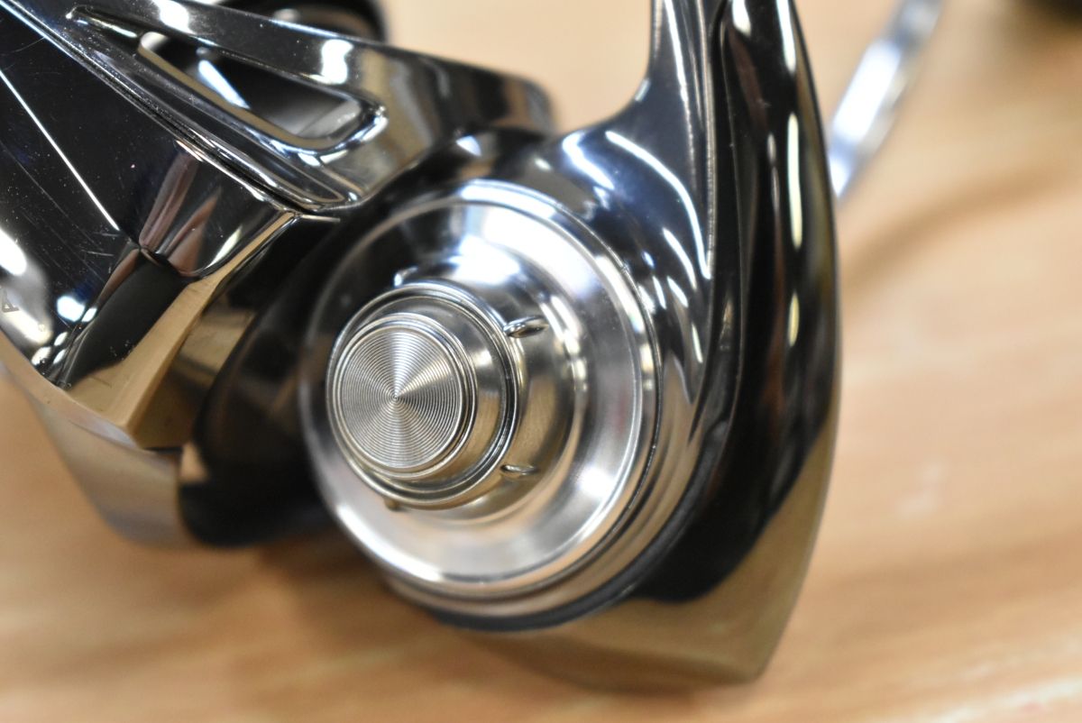 アオリイカ エギング