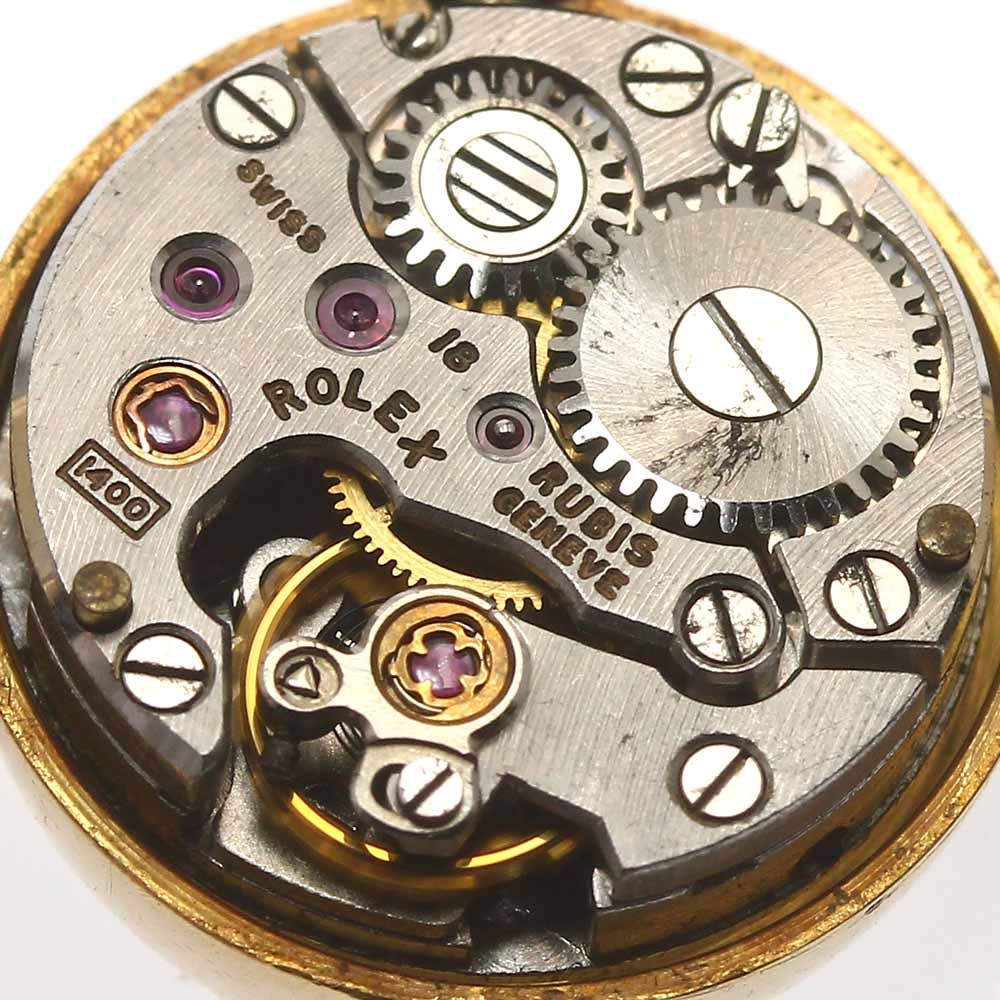 アズキナシ株立ち 山彩 --アオアダモ、アオハダ、モミジ、カエデ-- S