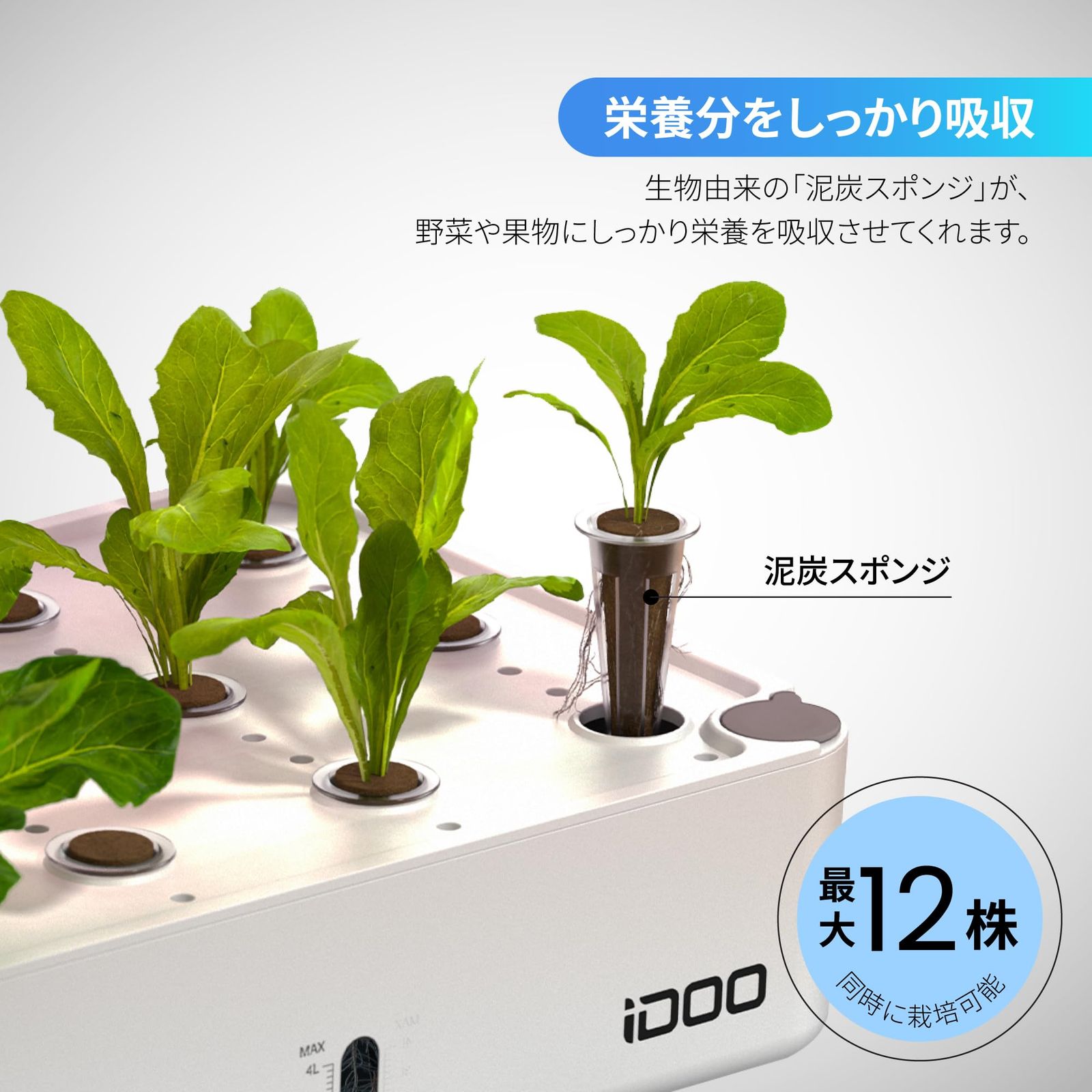 植物育成LEDライト付き すいこう栽培キット