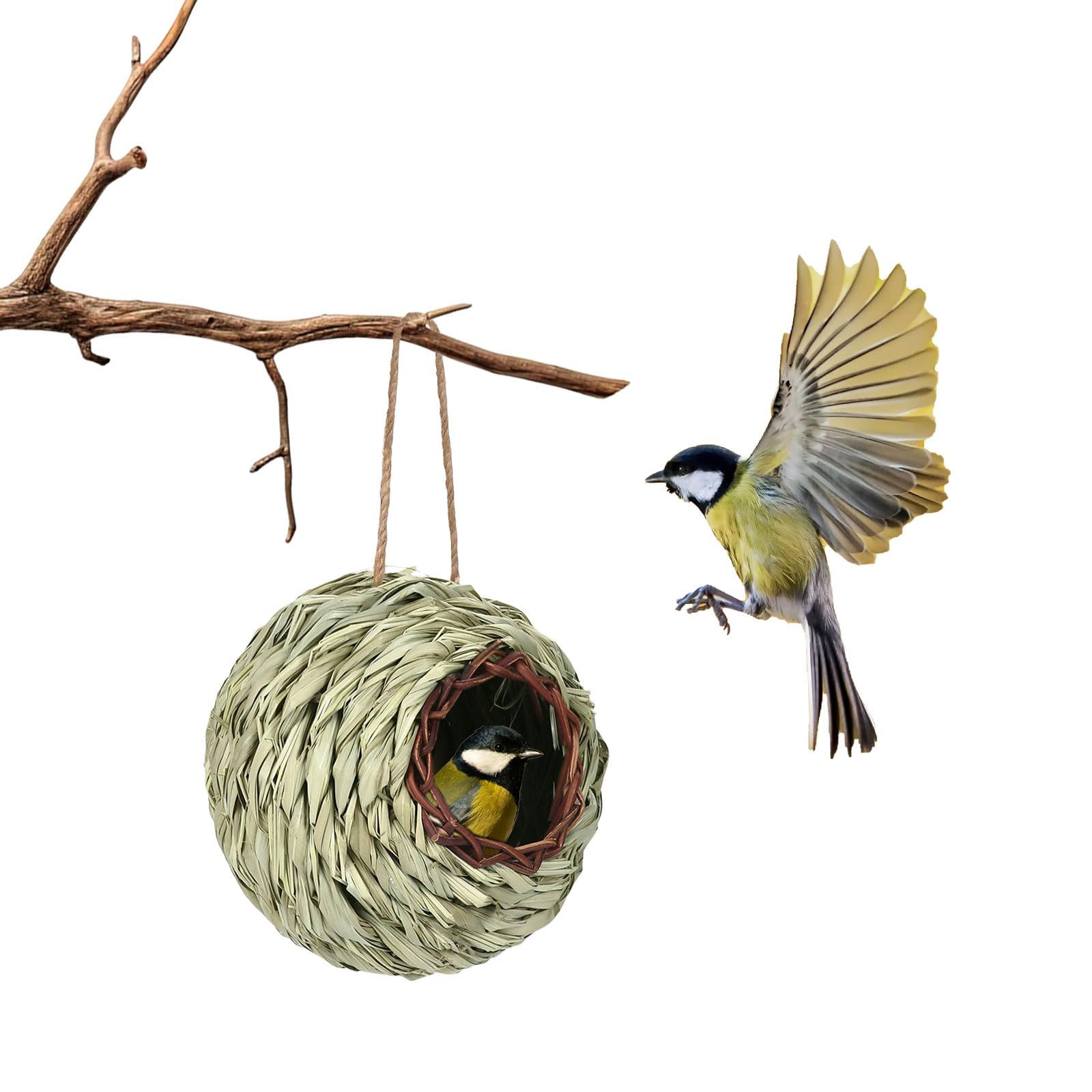ヴィンセント・クレア　花籠と鳥の巣　図録・レゾネより　額付 新品 鳥の巣 わら 草の巣 巣箱 手編まれた巣箱 天然わら 鳥の