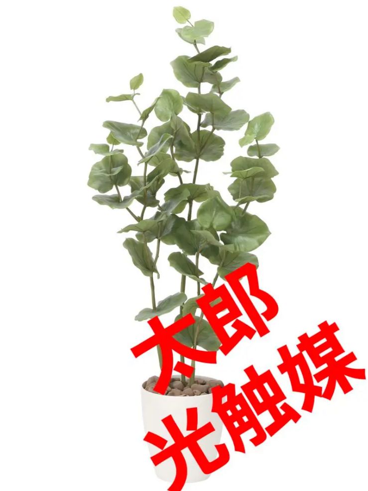 光触媒 人工観葉植物 ウォールグリーン フェイクグリーン シーグレープ