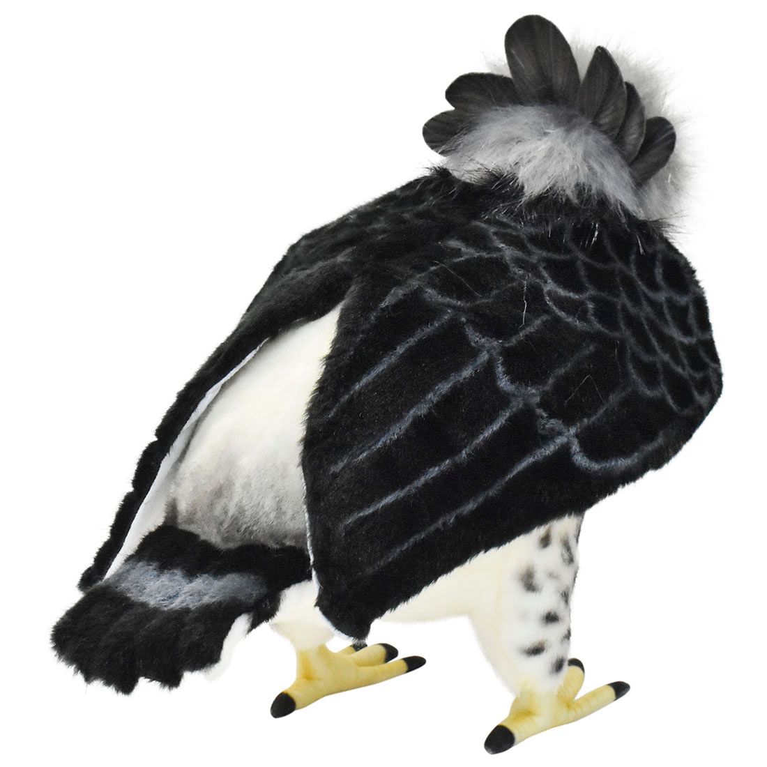 BH7639 HANSA ヘビクイワシ５９ BH7639 HANSA ヘビクイワシ５９