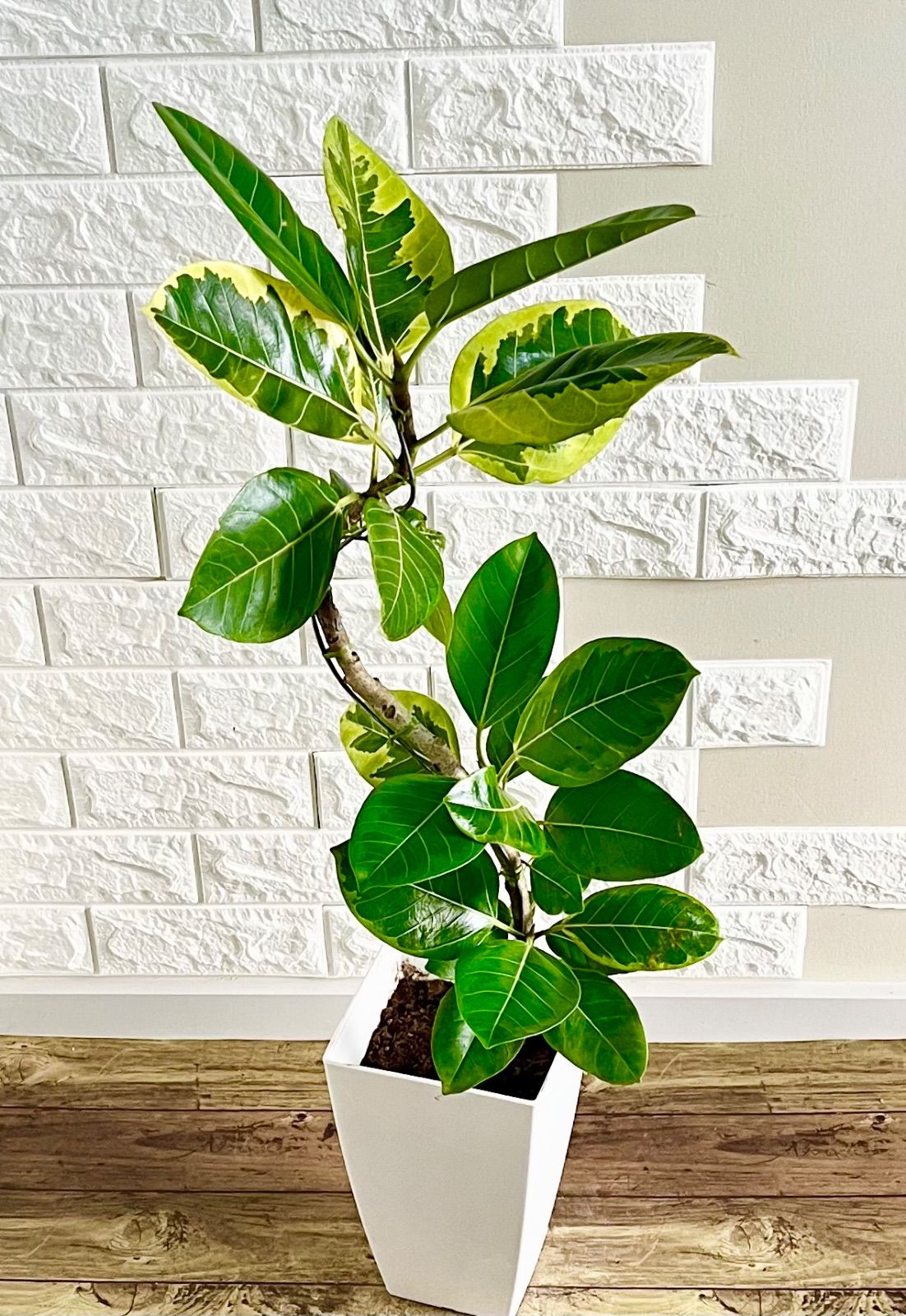 極希少非売品1980年代後半◇ペリカン KAORI ストア 三角形 インク瓶 高