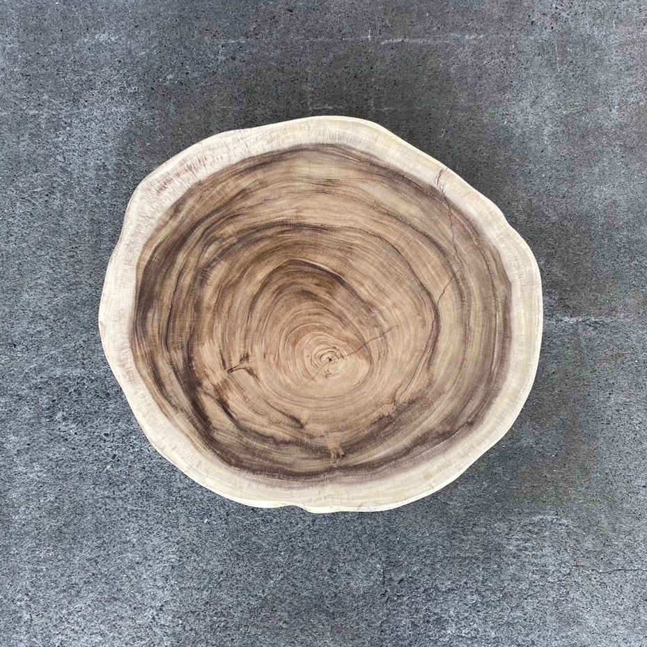 モンキーポッド 輪切り