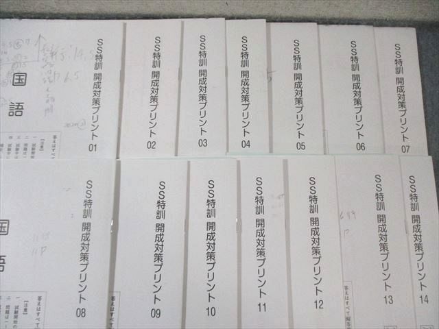 SAPIX 小6 サピックス SS特訓 開成対策プリント01〜14 通年セット 国語 【全14回分フルセット】 030S2D SAPIX サピックス 小6 国語 開成コース SS特訓 開成対策プリント