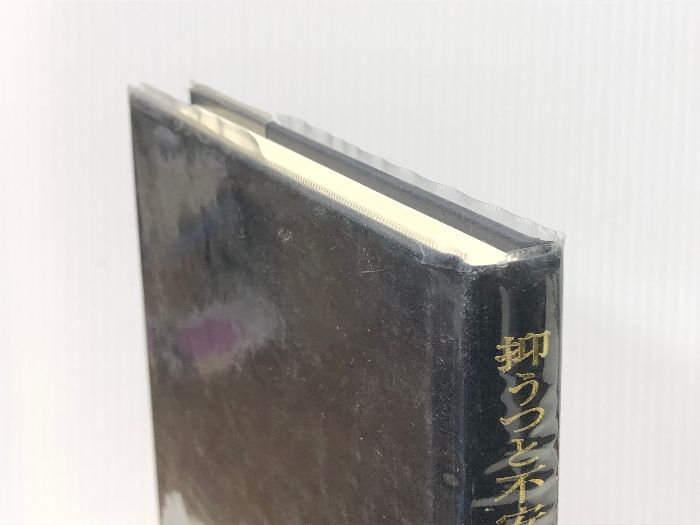抑うつと不安の関係を説明する認知行動モデル   /風間書房/福井至（単行本） 抑うつと不安の関係を説明する認知行動モデル 風間書房 福井 至※