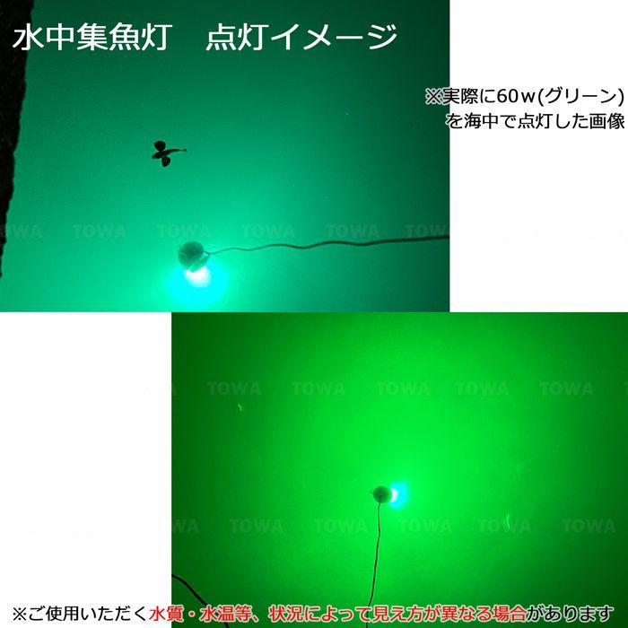 アジ