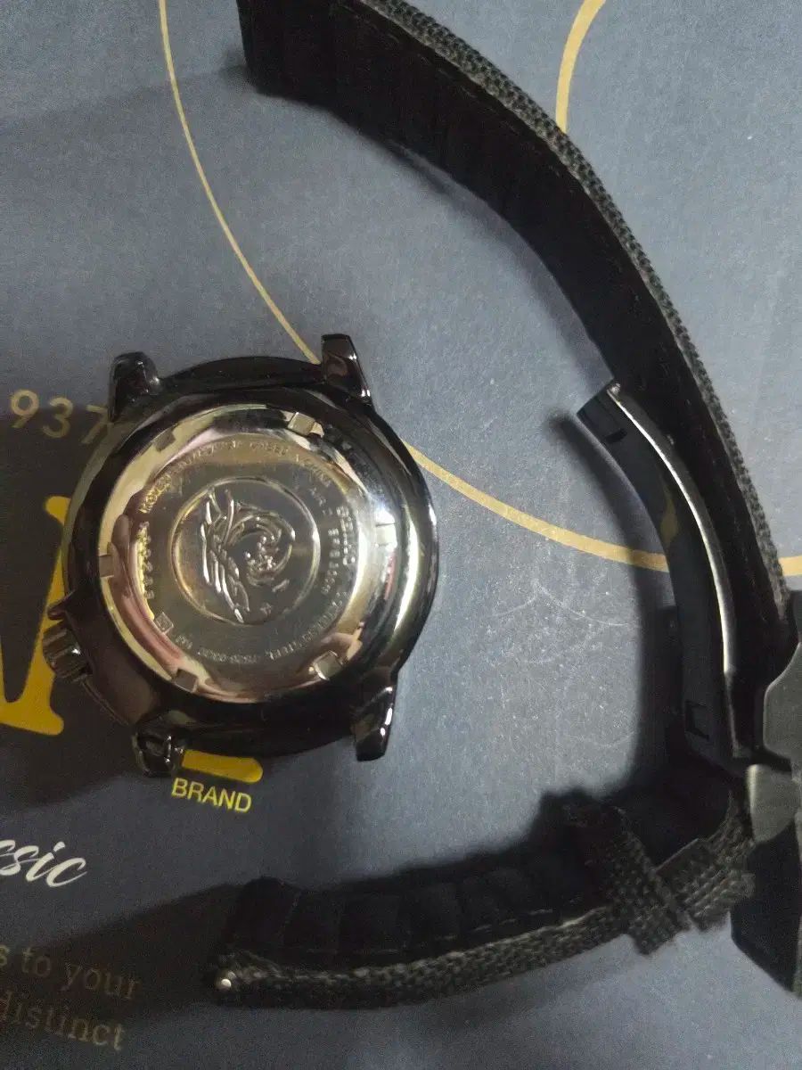 セイコー 白 NIGHT MONSTER szen 006