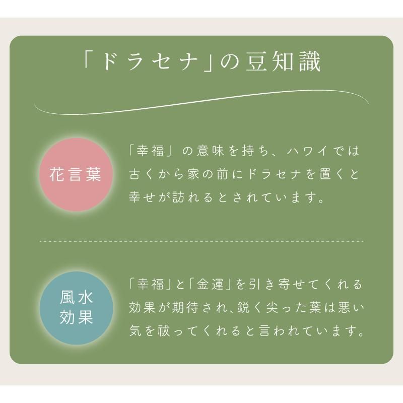 フェイクグリーン おしゃれ