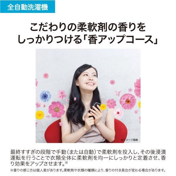 在庫処分 JW-HS55C W ホワイト 洗濯容量5.5kg全自動洗濯機 ハイアール Haier 槽風乾燥2キロ 一人暮らし ステンレス槽 ボディ幅52.6センチ WWW_KANDAIZUMI_COM