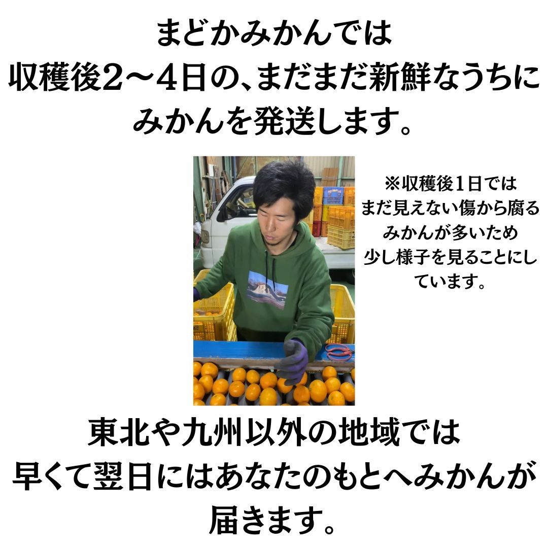 【11/21-26発送】ちょっと訳ありみかん　10kg 和歌山県産　早生