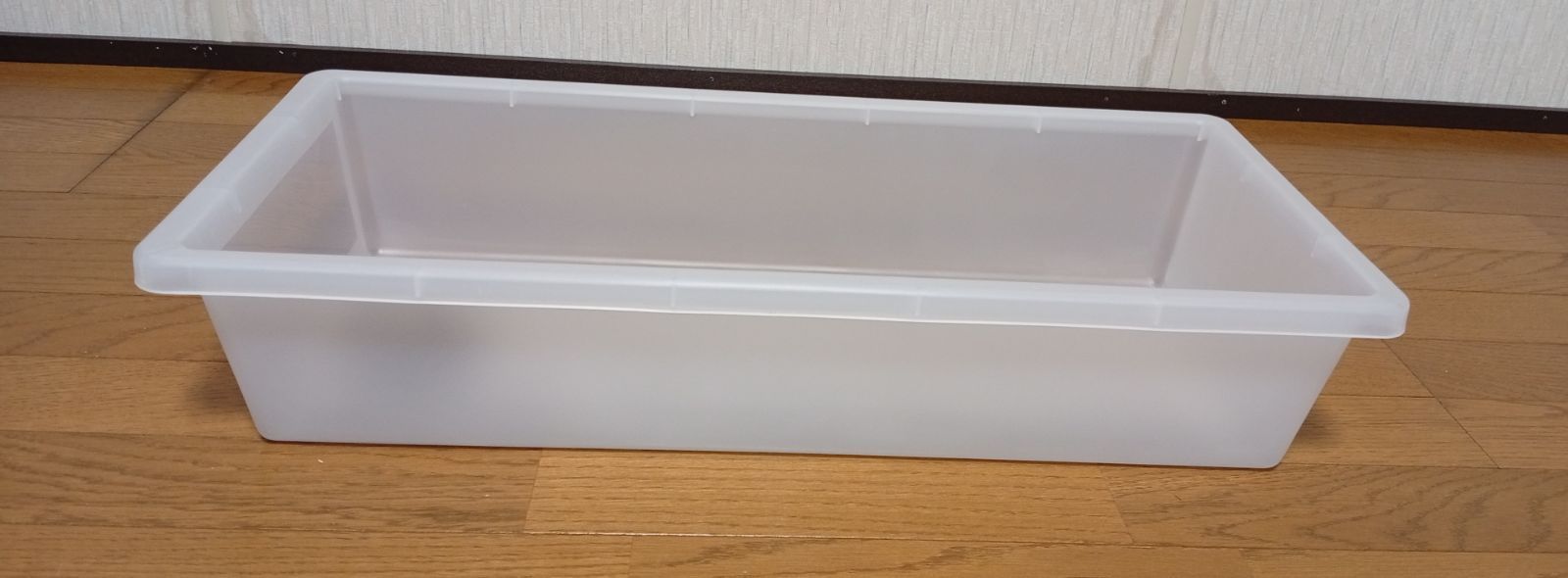 爬虫類 ボールパイソン