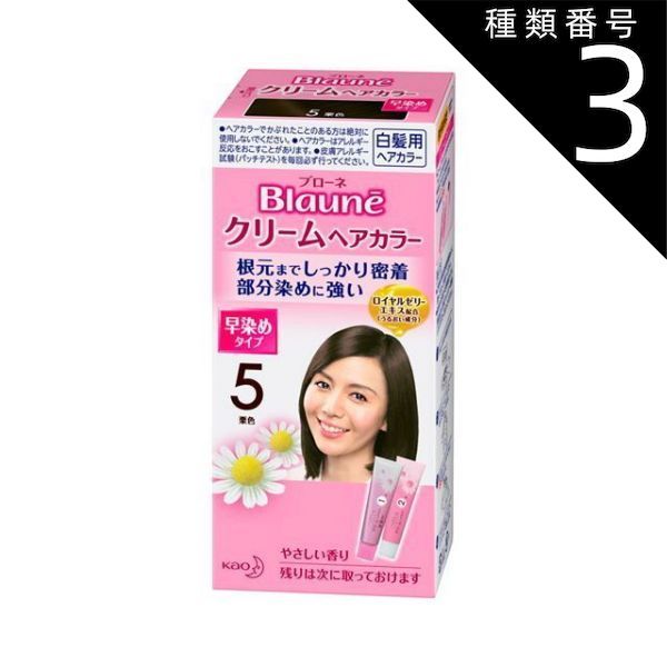 種類3：8個   まとめ買い  花王　ブローネ　クリームヘアカラー 5　栗色