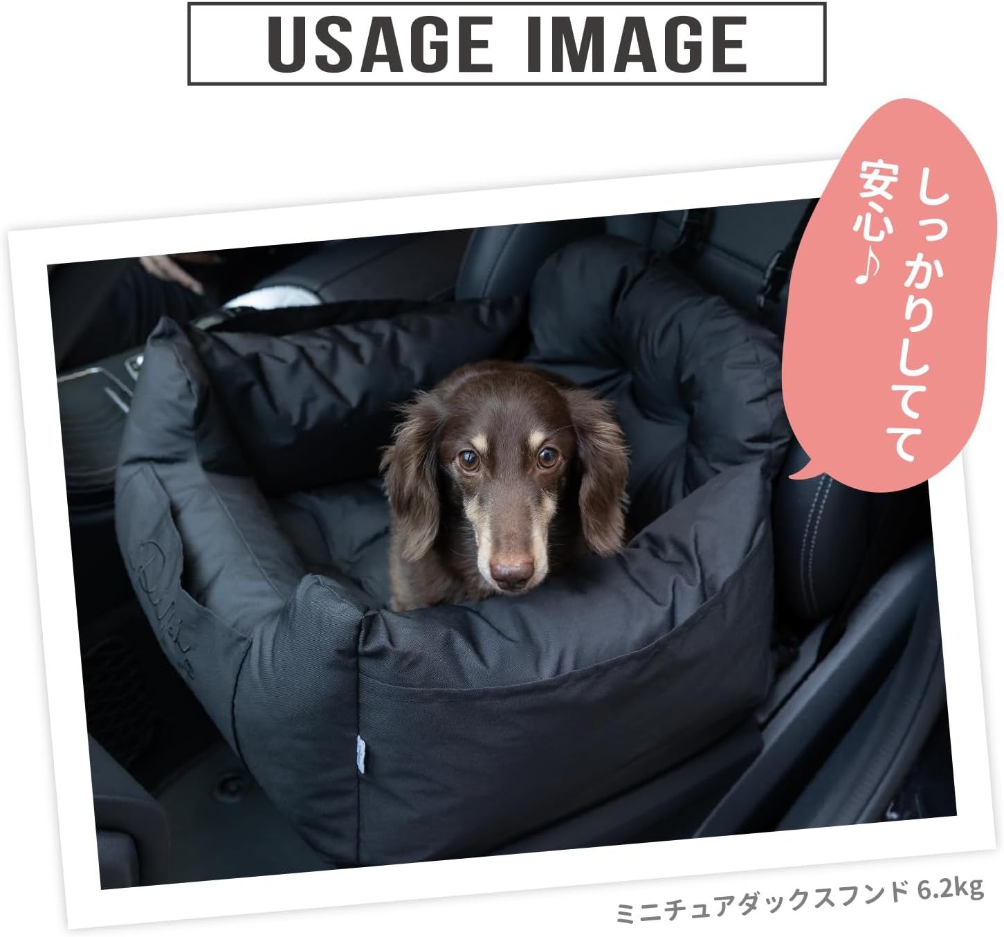 ブラック 犬用