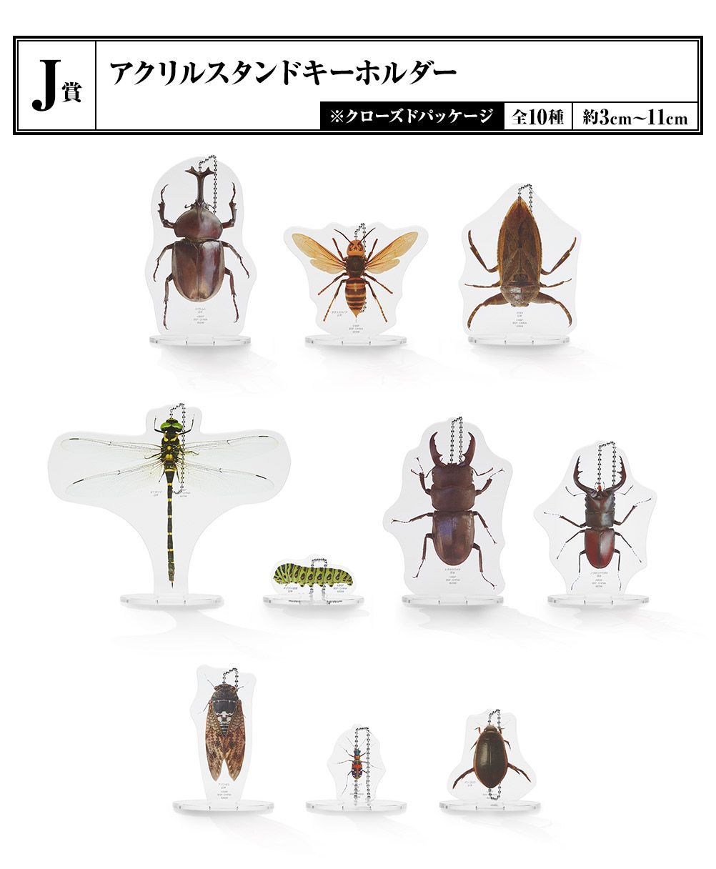 BANDAI SPIRITS 一番くじ昆虫 世界の昆虫博物館 J賞アクリルスタンドキーホルダー