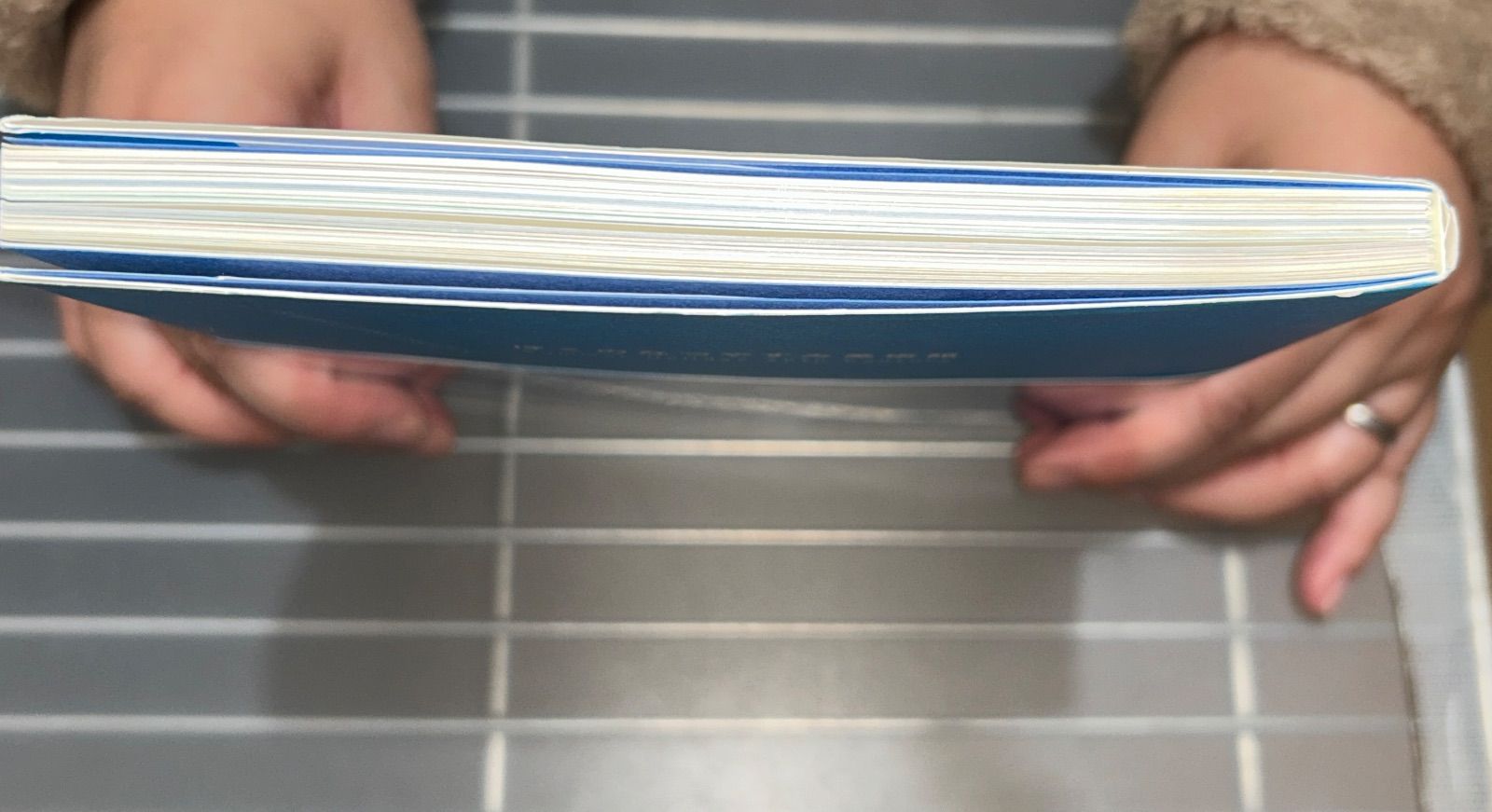 ぼくのなつやすみ美術館: Summer Holiday20th Century 草薙; 綾部 和