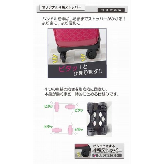 SWANY スワニー D-309プレーネⅡ 座面付 19L ブラック 楽天市場】スワニー 正規品 キャリーバッグ プレーネ 座面付き D