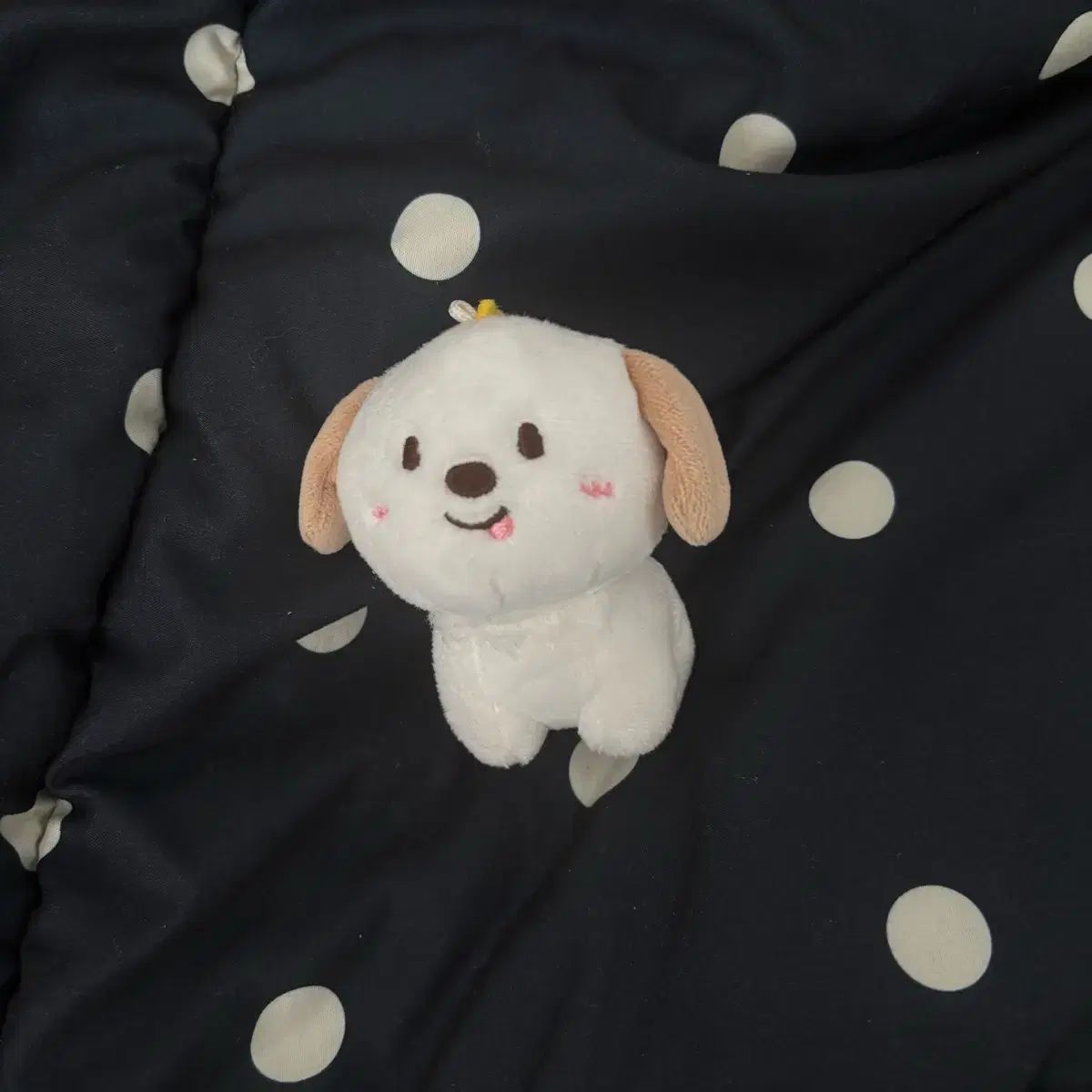 1 ギー ドラゴン リラズ RIIZE ライズ アントン ANTON イ チャニョン