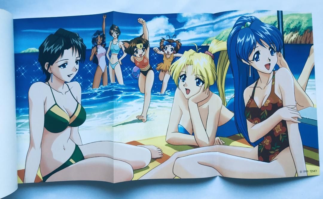 メルティマニア 全メルティランサーシリーズ完全ファンブック 攻略本