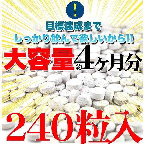 ダイエットサプリ フォースコリー 日本製 サプリメント 痩せ 体脂肪 燃焼 コレウスフォルスコリエキス フォルスコリン セルロース 大容量