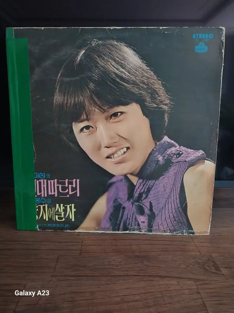 パク ミソン LP