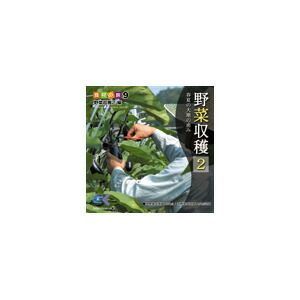 写真素材 マルク 食材の旅9 野菜収穫2 編