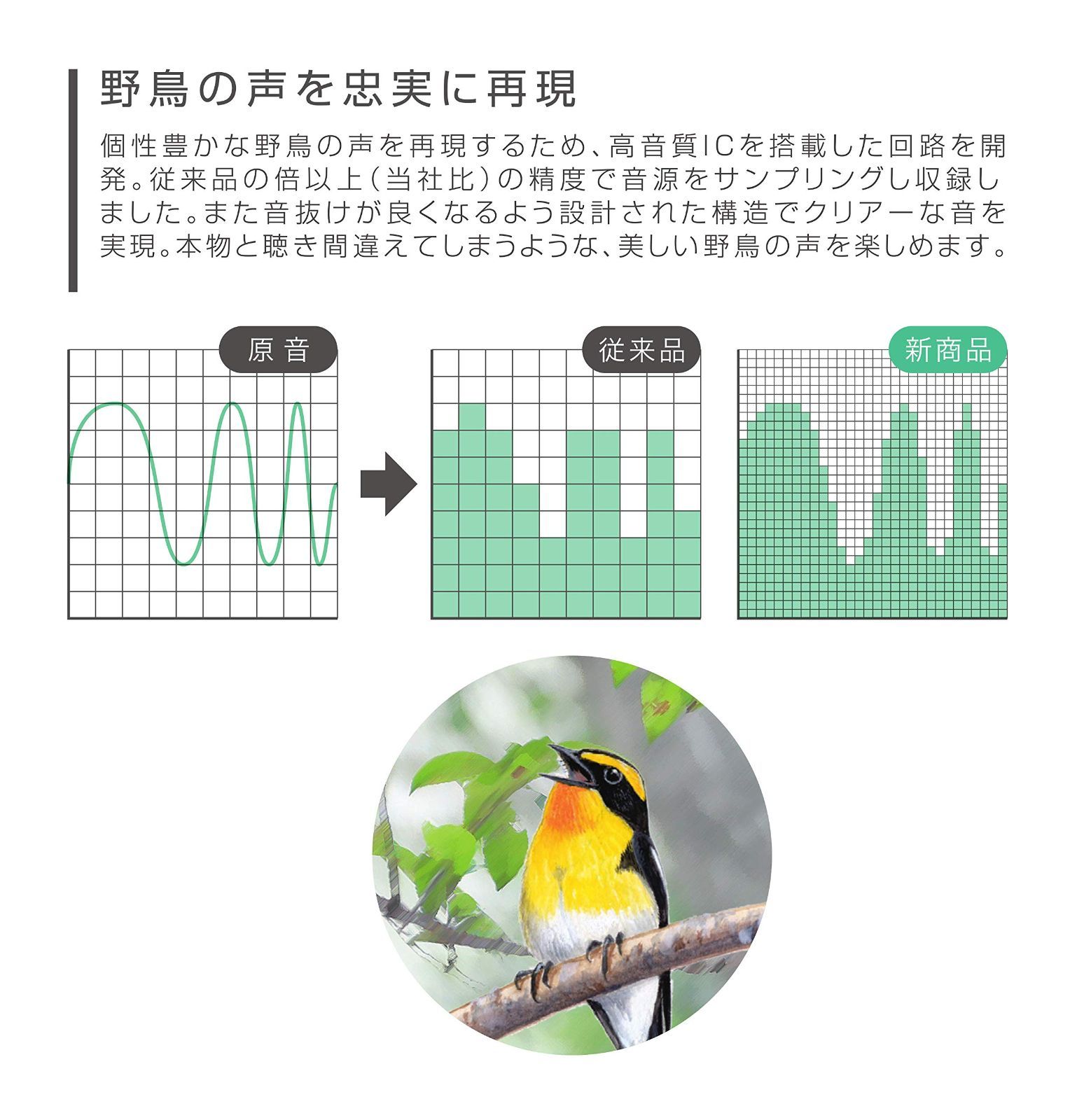 数量限定】目覚まし時計 日本野鳥の会 共同開発 リズム(RHYTHM