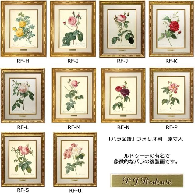 ルドゥーテ バラ複製画（大）レ・ローズ バラ図譜 銘木調の額付き