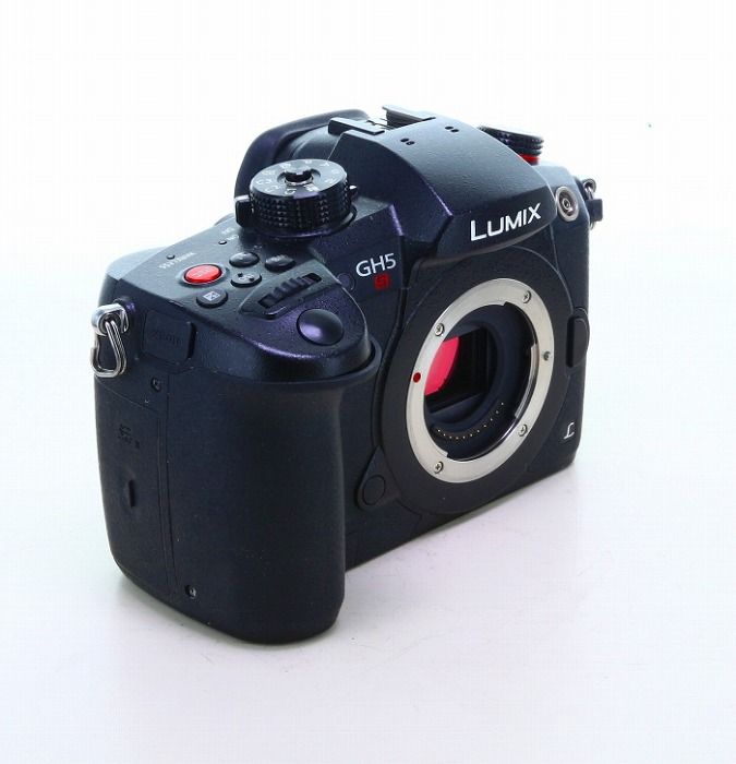 中古】(パナソニック) Panasonic GH5S(海外版) - メルカリ