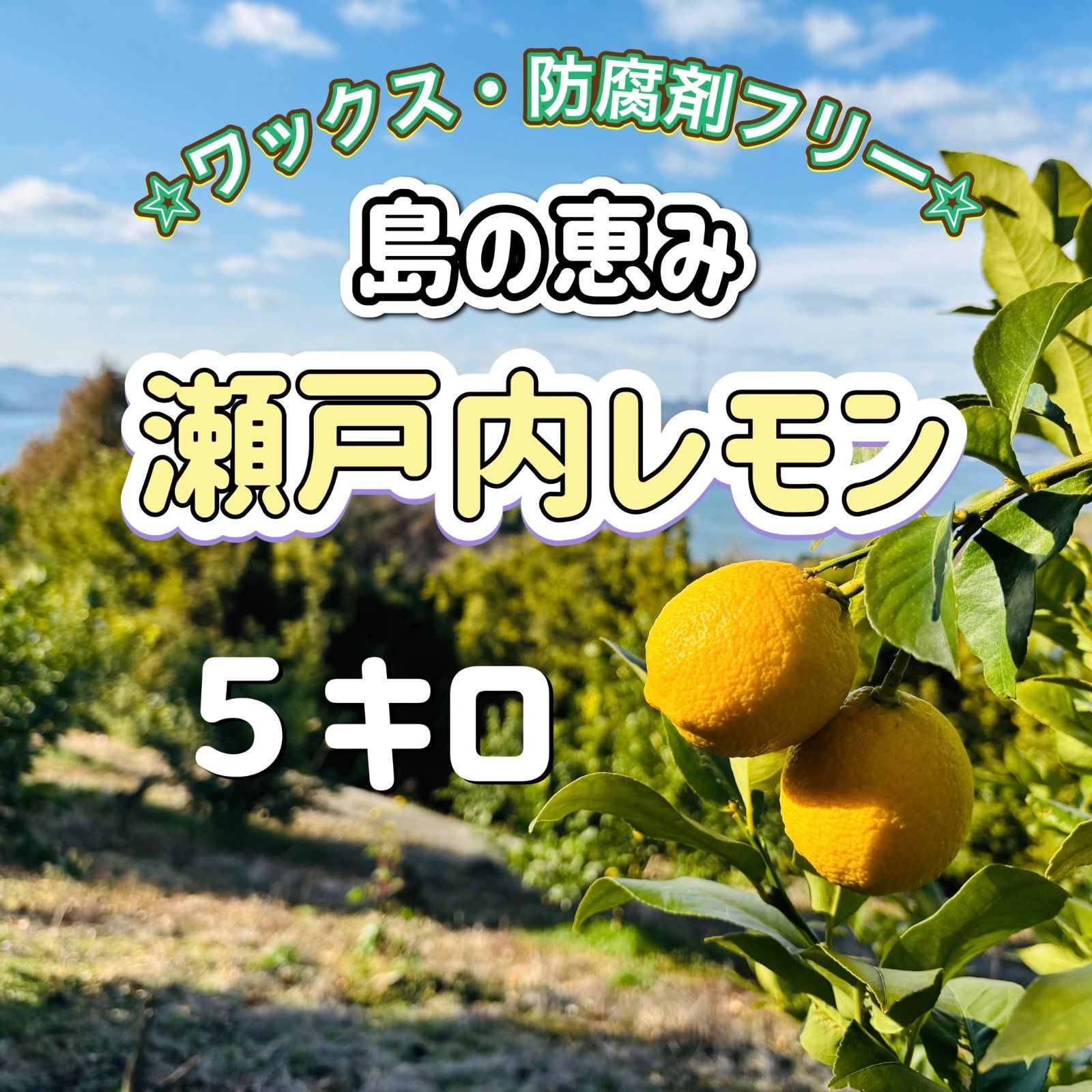 あがのレモン5kg 福岡産 防腐剤・ワックス不使用 皮まで食べられる
