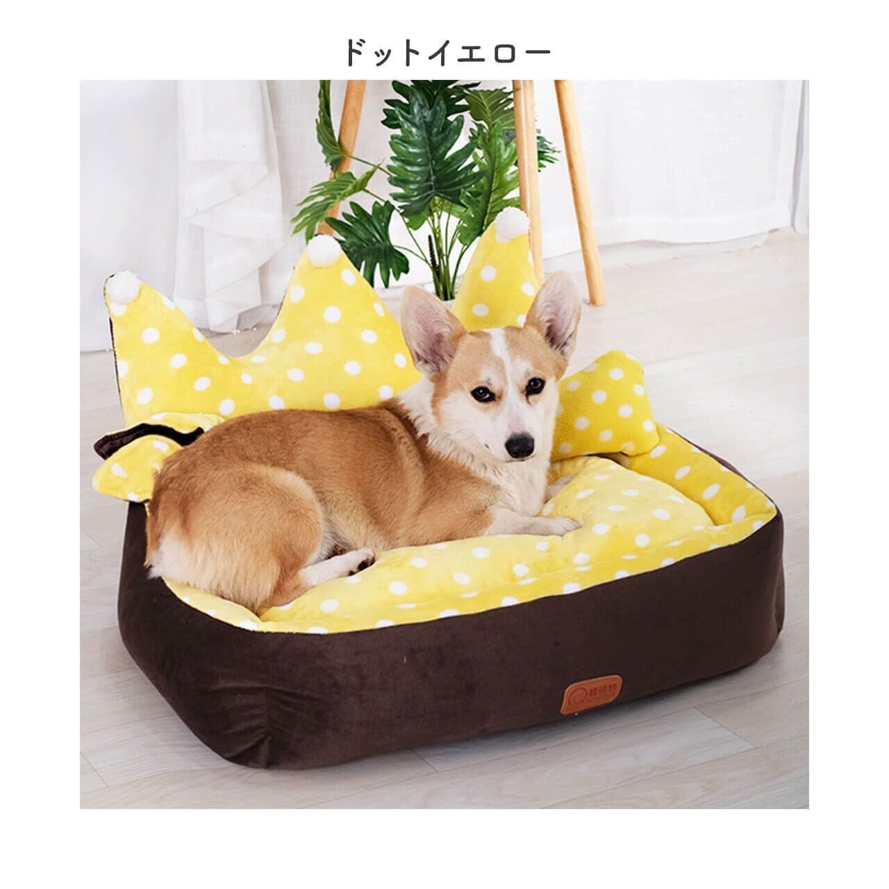 暖か 犬