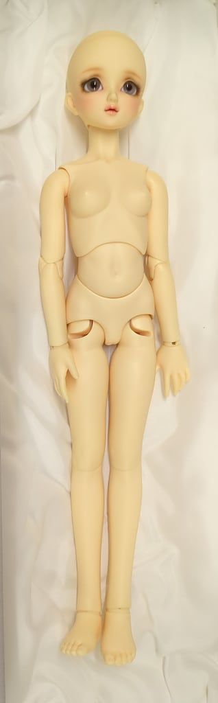 メイ