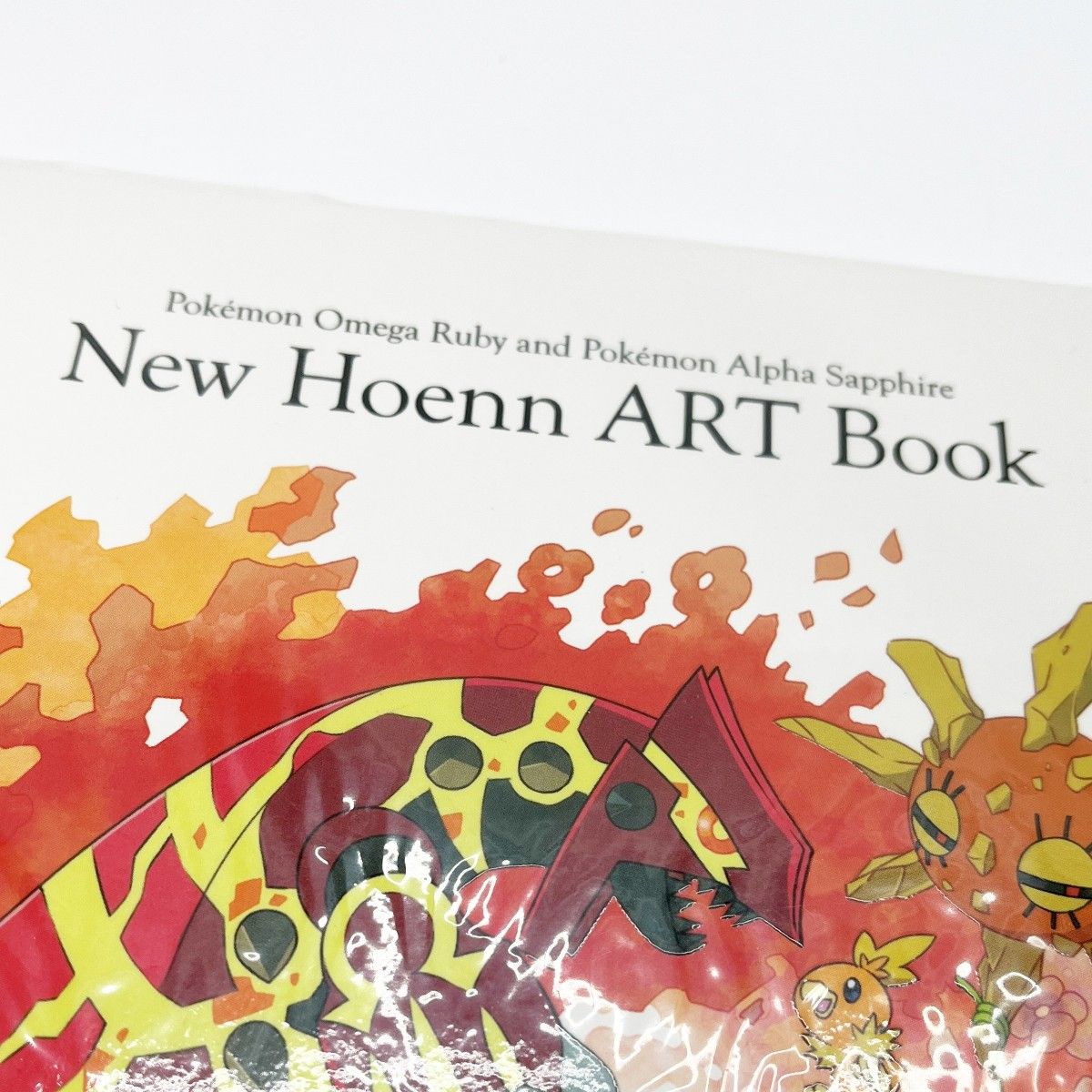 New Hoenn ART Book　ニューホーエンアートブック m19227188437_1.jpg?1716621246
