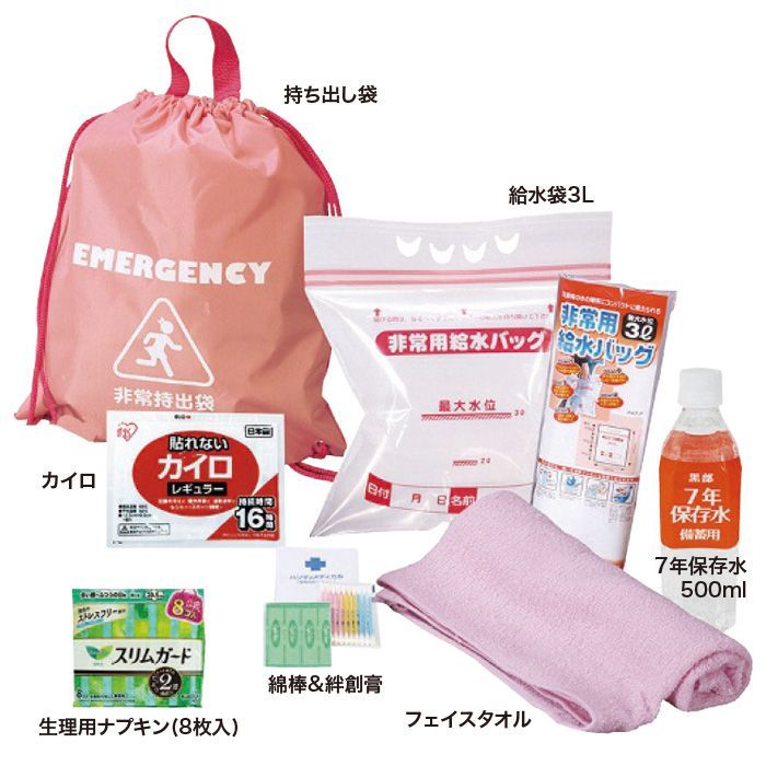 防災セット 女性用 防災用品 防災グッズ 20点セット 非常用持ち出しセット 災害時 緊急時 帰宅避難 職場 衛生用品 収納  コンパクトA4サイズ【☆80】/女性用防災20点セット9987528APD メルカリ