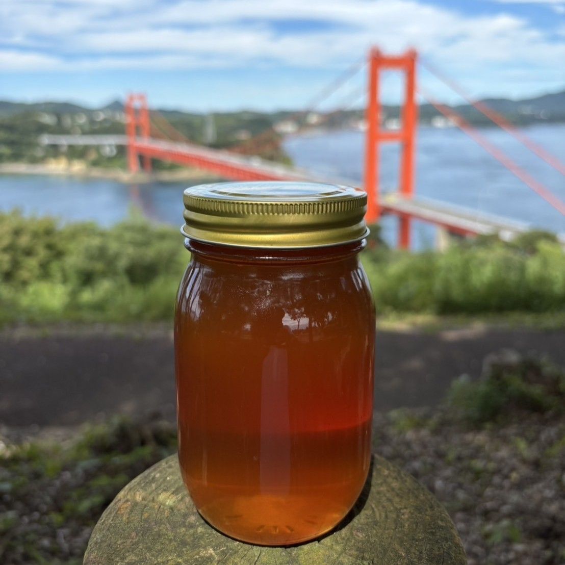 日本蜜蜂 蜂蜜 国産 600g×2【2023年9月採蜜‼️】 日本蜜蜂 蜂蜜 国産 600g×2【2023年9月採蜜‼️】
