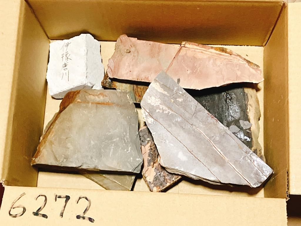 右京区梅ケ畑産 等