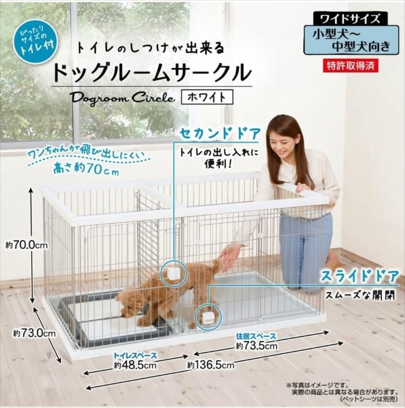 犬