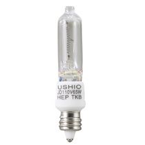 【新品・2営業日で発送】ウシオハロゲンランプ JD110V-65WHEP