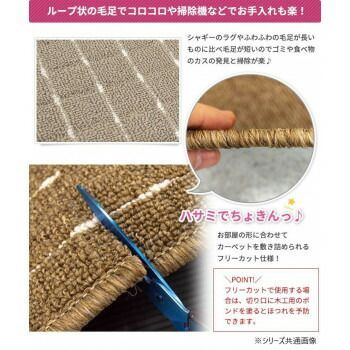 カーペット チェイス