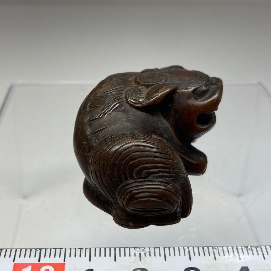 masuma様専用 逸品。自然樹形 マルバノキ株立2.1M(鉢底から)品番C 逸品