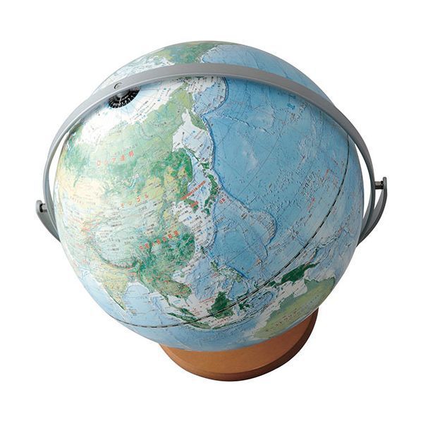 レイメイ藤井 土地被覆タイプ地球儀 30cm 全回転 北半球南半球が見やすい全回転タイプの地球儀 OYV260 STEELWINDOWSANDDOORS_COM
