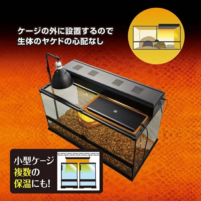 エキゾテラ