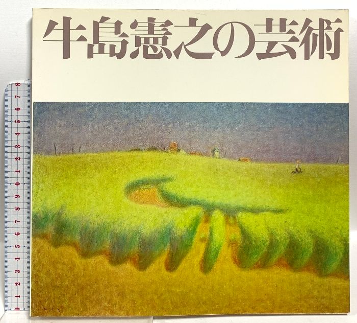 ◇牛島憲之画集 日本経済新聞社発行 昭和53年発行 限定版◇ ◇牛島憲之画集 日本経済新聞社発行 昭和53年発行 限定版◇