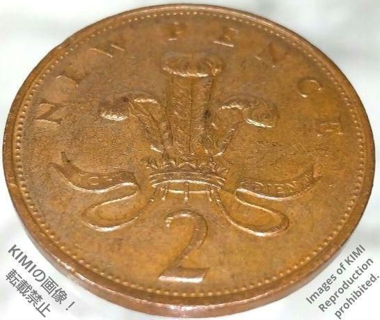 2 New Pence 1971 Elizabeth II 2nd portrait Bronze Coin Art 2