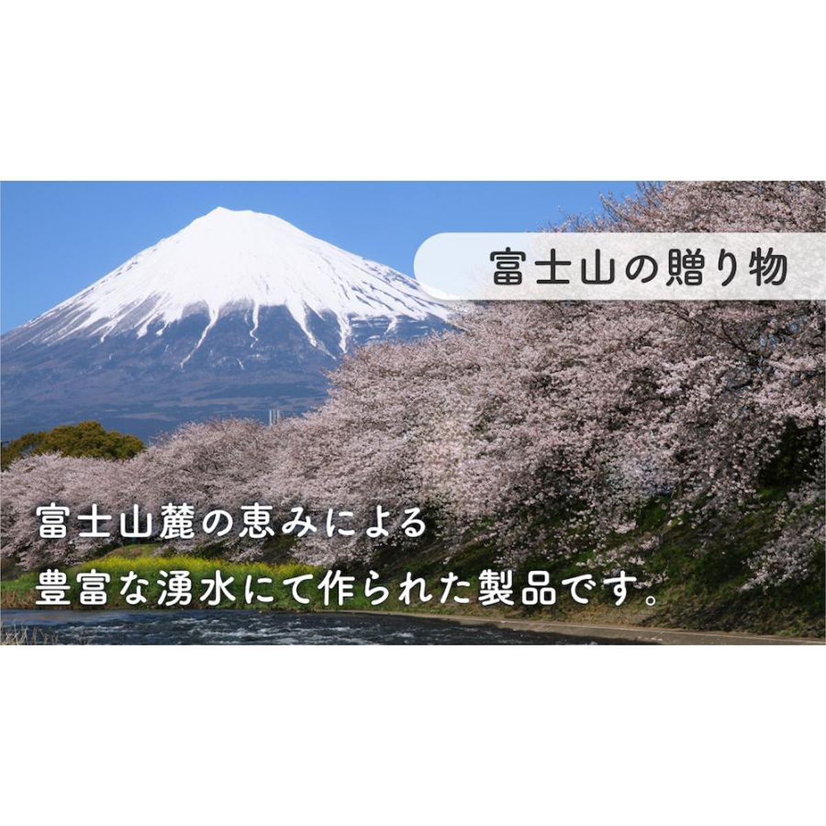 12ロール