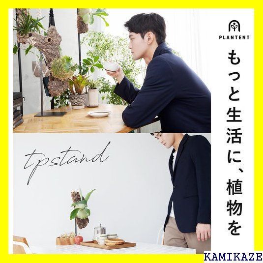 ☆便利 PLANTENT 植物ディスプレイスタンド T.P.Stand ビカクシダ