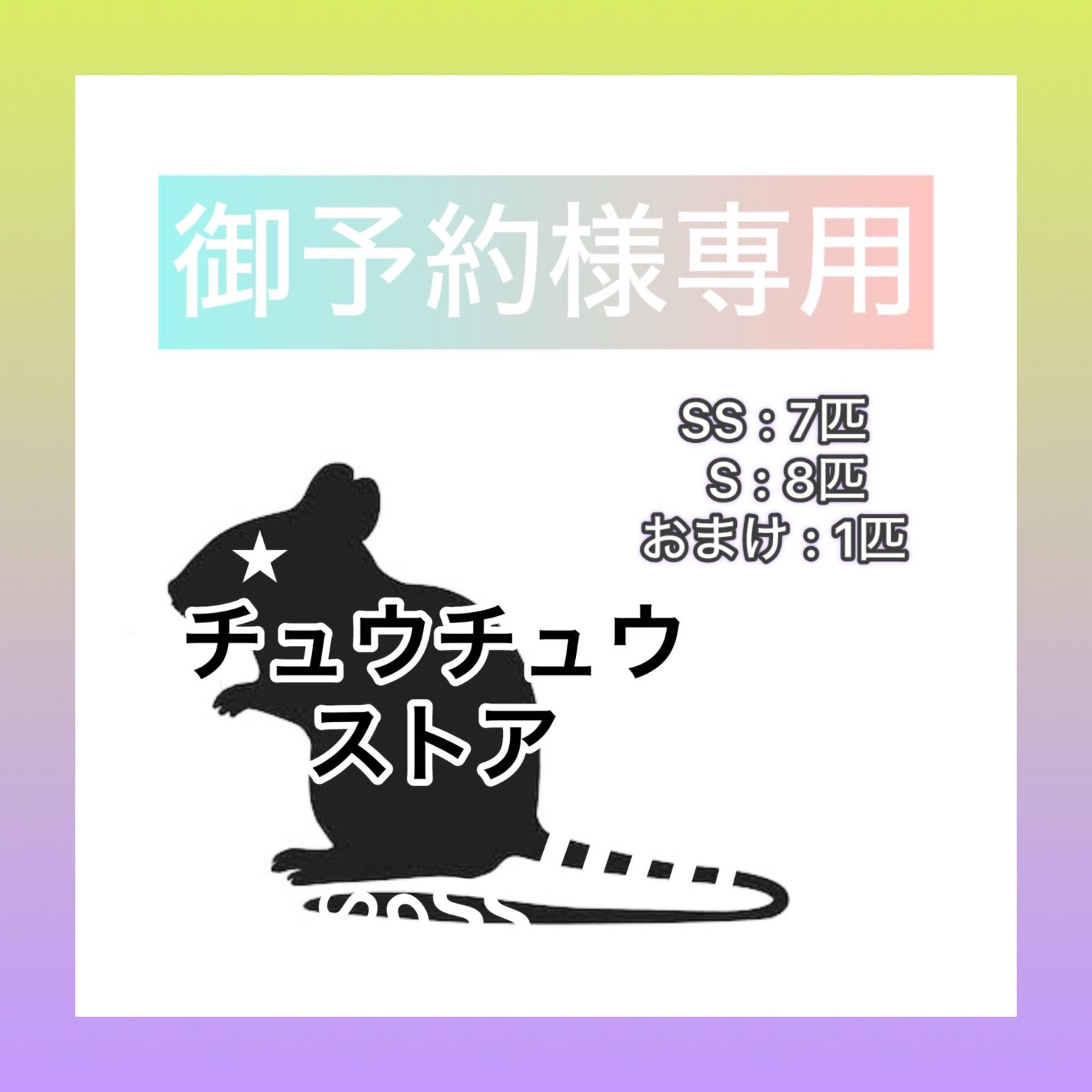 Venga様専用 冷凍ラット 【公式通販】