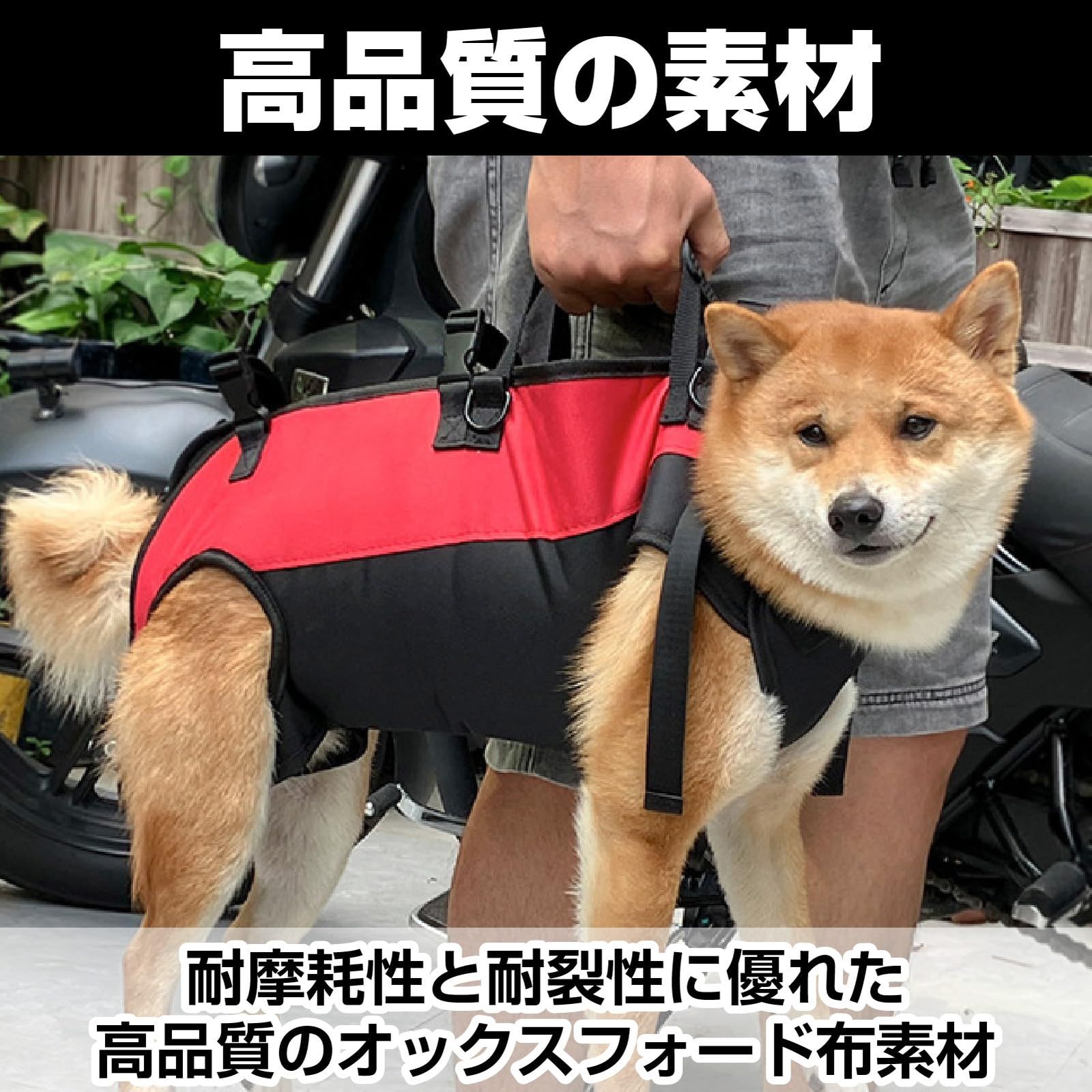 通気性 高齢犬