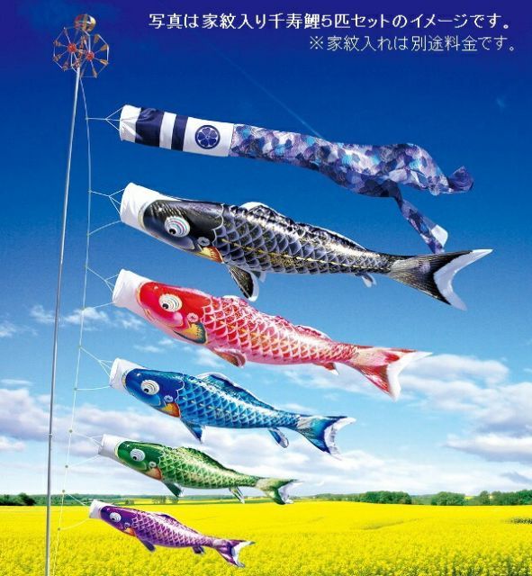 庭園用 鯉のぼり 徳永 ポール別売り 大型鯉 | こいのぼり 6m鯉4匹 日本の伝統文化 吉兆 撥水加工 夢はるか 夢五色吹流し 3m鯉5匹 さくらソレイユ 千寿吹流し